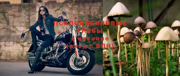 мяу мяу мука Арсеньев