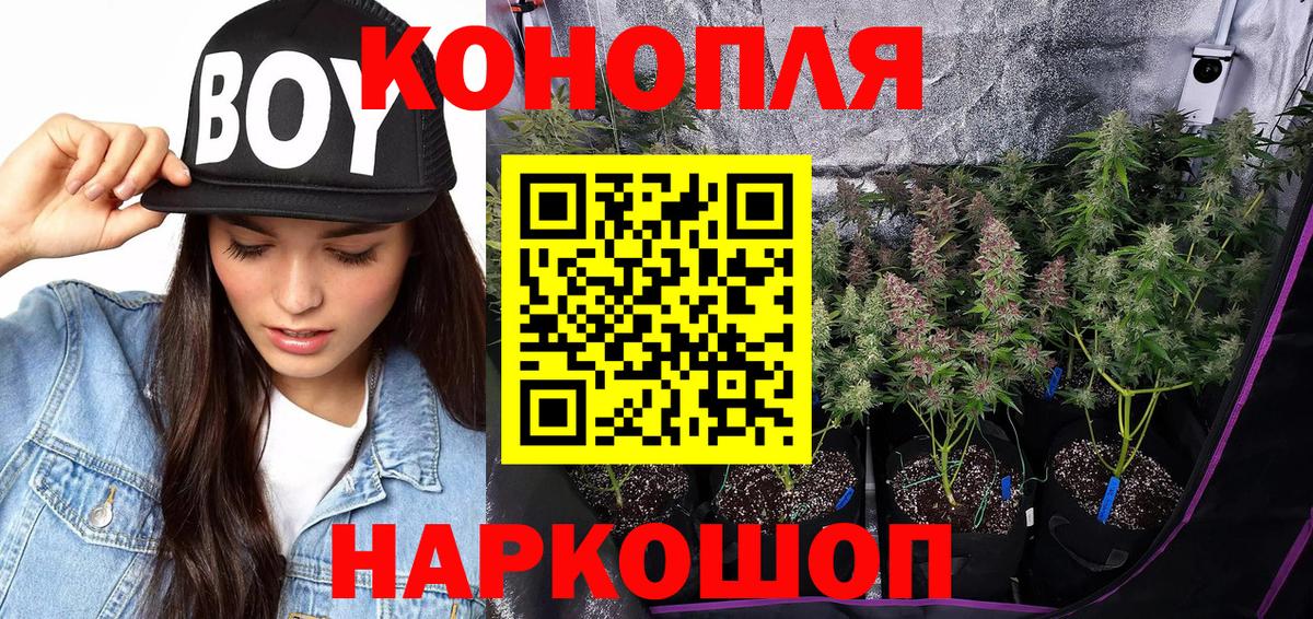 Каннабис AK-47  Вход с VPN  Изобильный  Бошки Шишки OG Kush  МАРИХУАНА THC 21% 